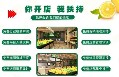 果e站水果便利店 新鲜水果零售的新趋势与实践