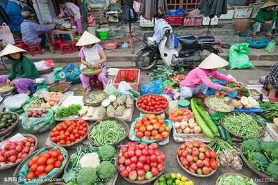 菜场里的财富密码 大妈摆摊月入过万，下午自由引白领艳羡
