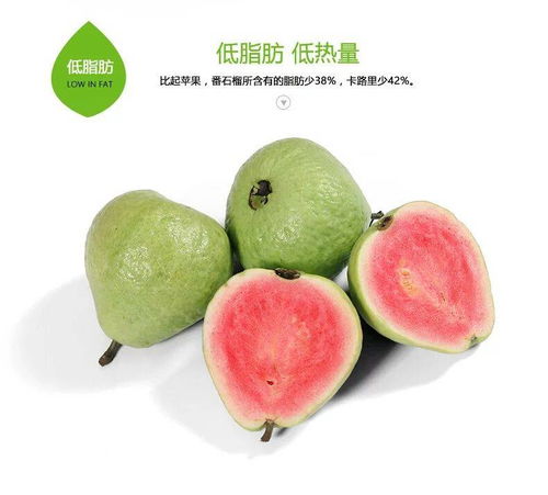 广西番石榴 红心芭乐与白心芭乐的应季鲜果指南