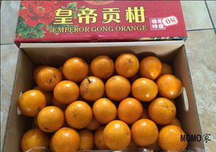 momo家新鲜水果配送服务 湖州外卖零售与批发